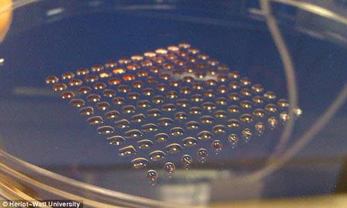 英国最新3D打印技术可制造胚胎干细胞簇