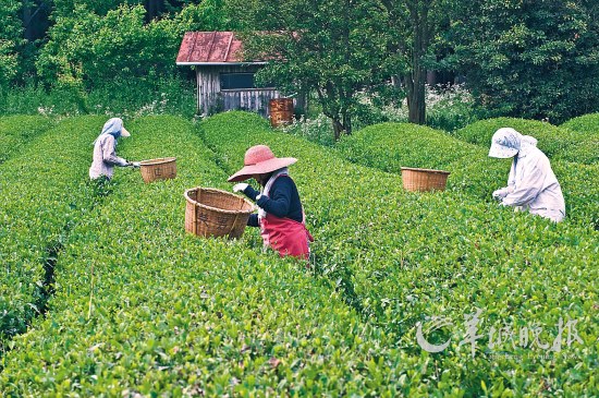 乡村人口疏化_乡村振兴图片
