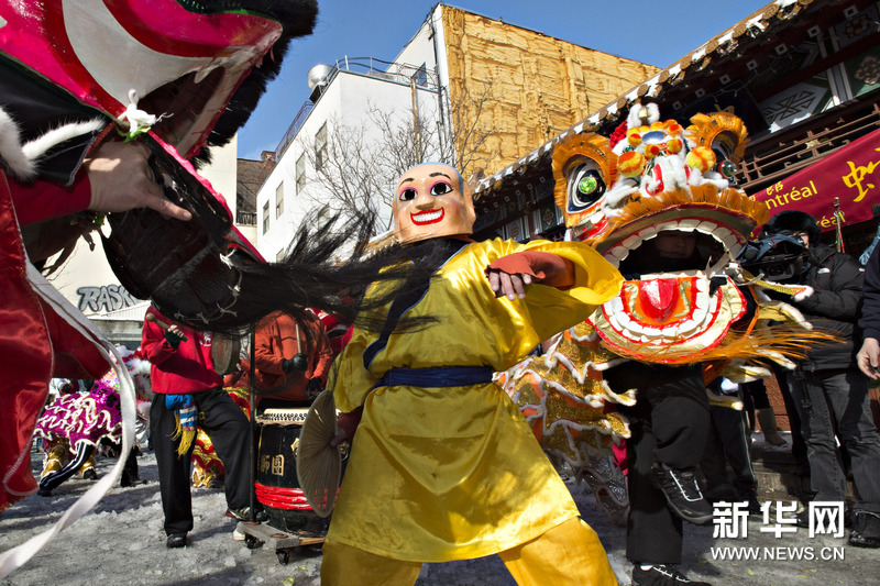 加拿大蒙特利尔华人舞狮庆蛇年春节(组图)
