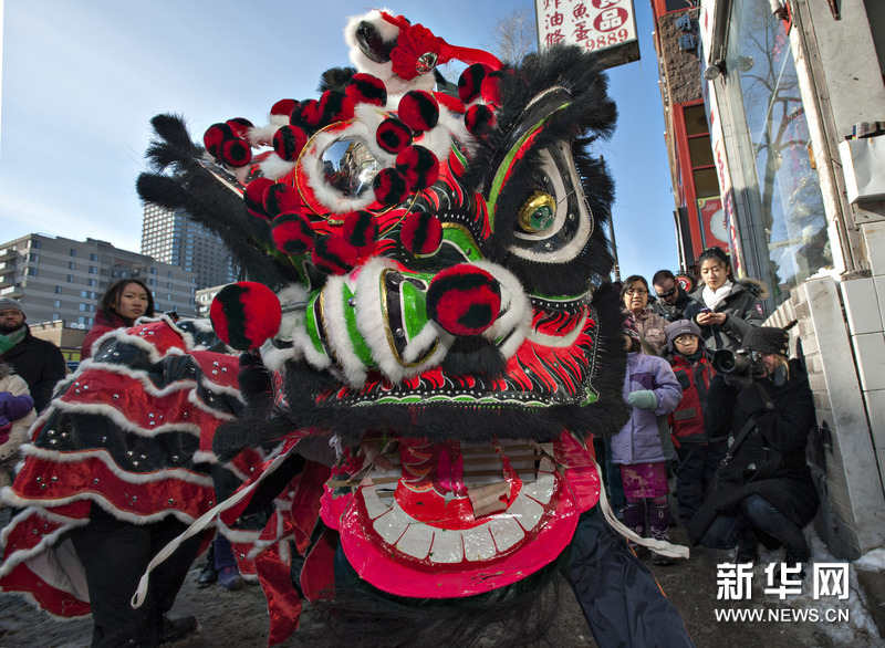 加拿大蒙特利尔华人舞狮庆蛇年春节(组图)
