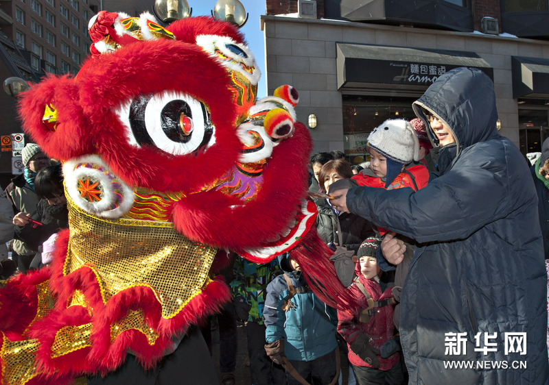 加拿大蒙特利尔华人舞狮庆蛇年春节(组图)