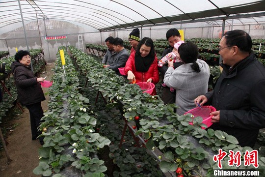 天阴,不时还飘些小雨。在闽侯龙台山生态园、