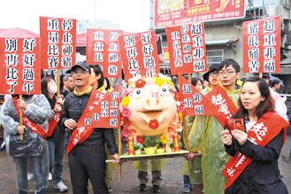 台湾新北百年传统神猪祭典 遭动物保护团体叫停