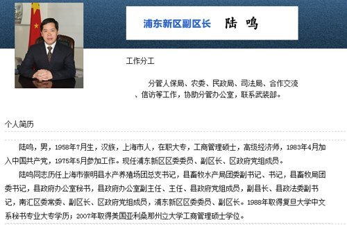 浦东新区官网公布的陆鸣简历