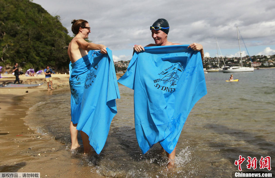 利亚悉尼超过400人集体裸泳 为慈善筹集资金(