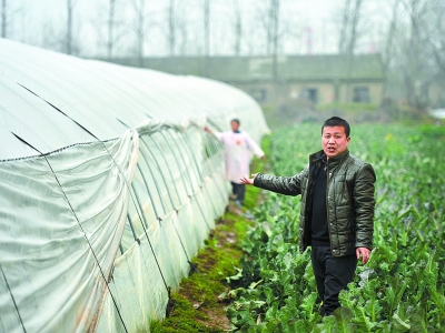 武汉家庭农场年收入可达百万元 三个样本树榜