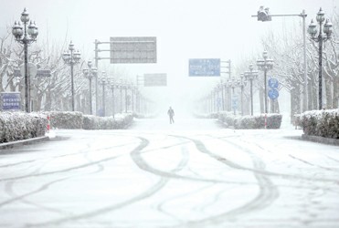 上图为上午8时许,在上海交通大学闵行校区,行人冒雪赶路.