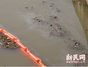 上海金山水污染事件调查:槽罐车违法倾污(图)