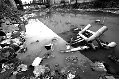 瑞安市仙降街道金光村河道的污水和垃圾（2月18日摄）。新华社发