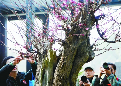 "三管齐下"治理街巷邋遢(图)