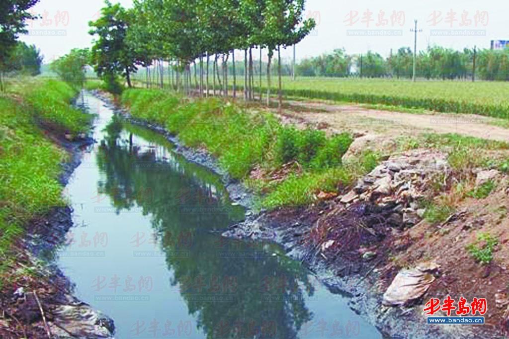 马自达3转向助力是油的吗高清图片