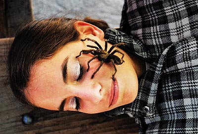 第1名:塔兰图拉毒蜘蛛