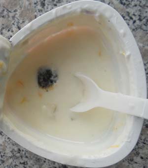 两杯三元大果块酸牛奶180g装,中午回家饮用时发现其中一杯已变质发霉