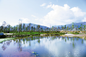 富民县湿地公园美景.