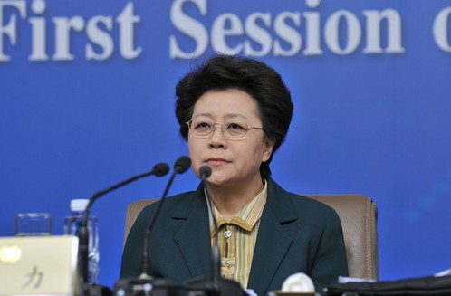 民政部副部长姜力:正在制定中国公民收养规定