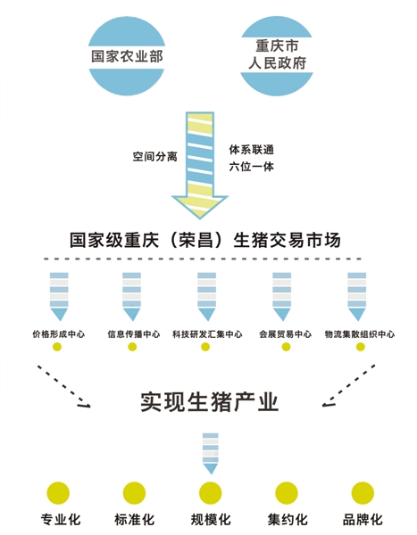 重慶農(nóng)交所計(jì)劃在5年內(nèi),通過(guò)提升交易市場(chǎng)的基礎(chǔ)設(shè)施和裝備水平,推動(dòng)重慶生豬產(chǎn)業(yè)率先實(shí)現(xiàn)專業(yè)化、標(biāo)準(zhǔn)化、規(guī)模化、集約化和品牌化。