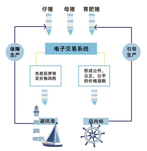 “網(wǎng)上交易、先賣后養(yǎng)”的交易模式,生產(chǎn)者可以鎖定受益,規(guī)?；a(chǎn),買(mǎi)方也可以擴(kuò)大購(gòu)貨渠道,降低成本。而政府相關(guān)職能部門(mén)也能因此引導(dǎo)生產(chǎn)的規(guī)?；蜆?biāo)準(zhǔn)化。