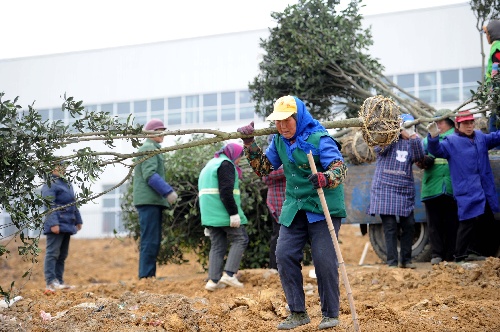 走基层听民声1辛劳植树人