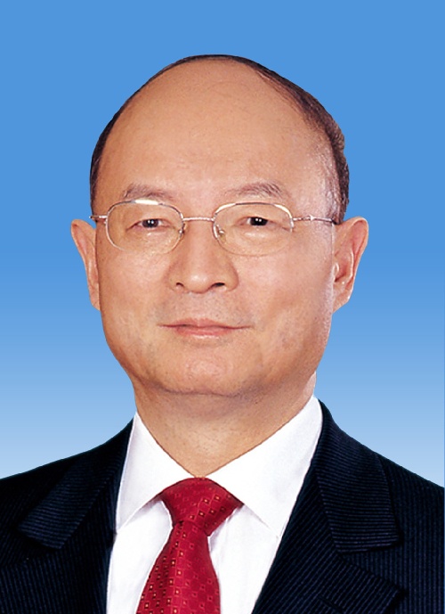 协商会议第十二届全国委员会副主席陈元