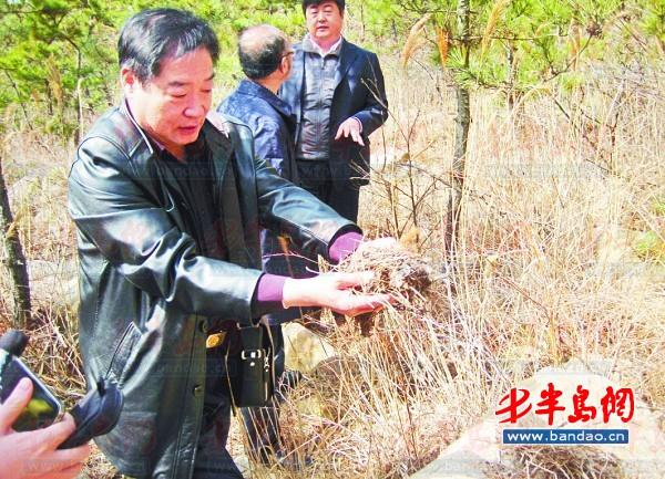 崂山风景区王兰波简介_崂山风管委王兰波_崂山风管局王兰波