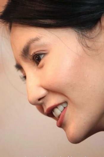 董洁刘诗诗孙俪范冰冰 女星绝美侧脸大pk(图)