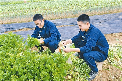 南海舰队某高山观通站打造种养生态园 蔬菜自