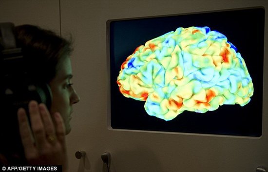 科学家大脑扫描实验证实能看到人们所想事物(