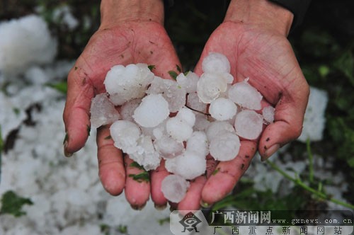忻城县北更乡凤凰村的村民捡起遗留的冰雹。