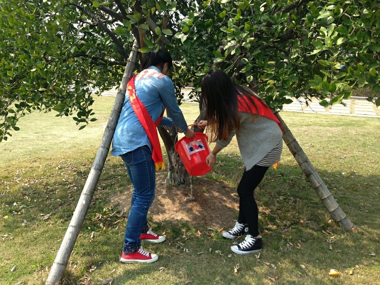 温州大学溯初学区党员植树节后续活动(组图)