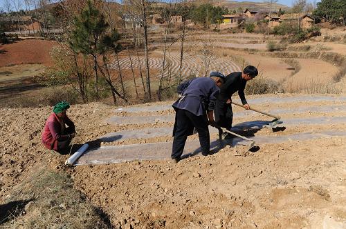 3月21日，贵州省威宁县斗古乡水塘村的几位村民在抢种玉米。新华社记者 王念 摄