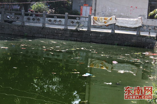 网友爆料福州西园村一池塘受污染 相关部门:有