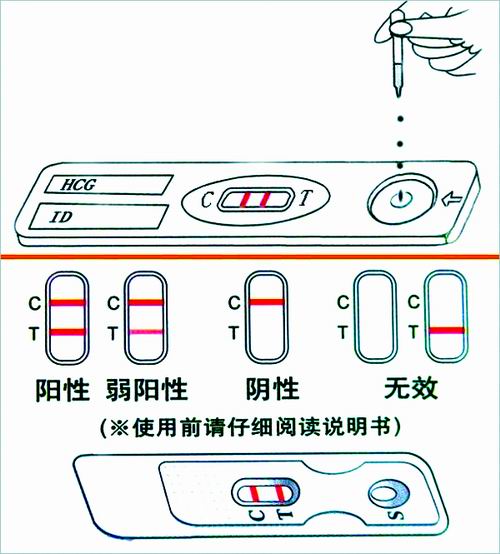 排卵试纸的原理是什么_排卵试纸怎么看是排卵