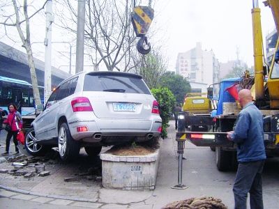 南京美女开奔驰车爬上半米高花坛 引路人围观