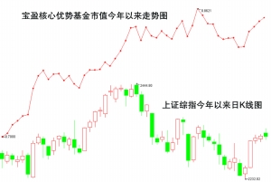 改革转型成基金年报热词 宝盈独好颠覆(图)