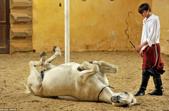 这里的马会跳芭蕾--西班牙皇家马术学校(组图)