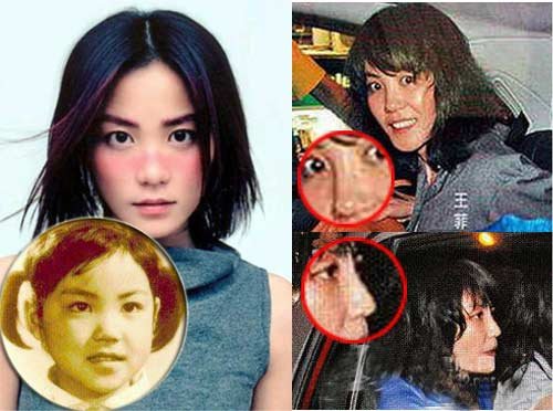 郑爽整形后网友称四不像 盘点整形失败的女明