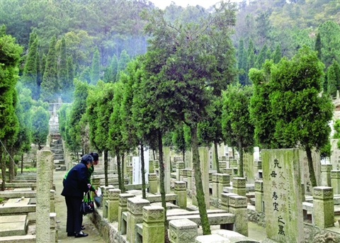 前天上午,几个市民在灵岩山脚下的天灵公墓祭扫先祖.