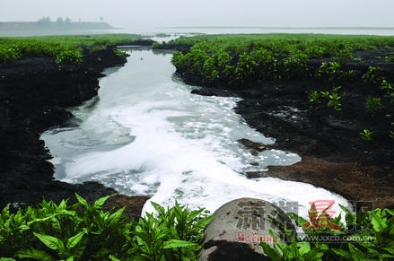 汉寿县城有多少人口_汉寿县地图(2)