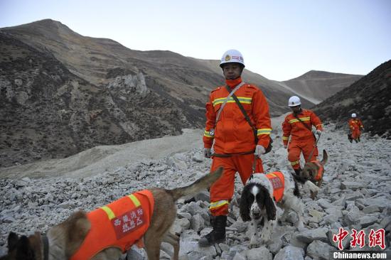 拉萨山体滑坡区域海拔高 搜救犬亦有高原反应