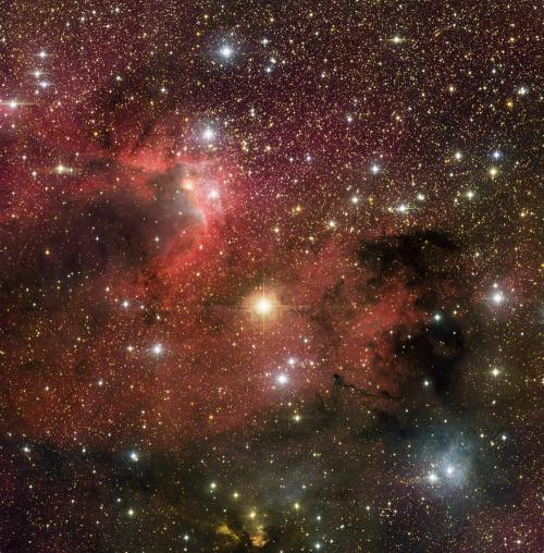 仙王座恒星宝宝诞生区或揭示恒星形成全过程