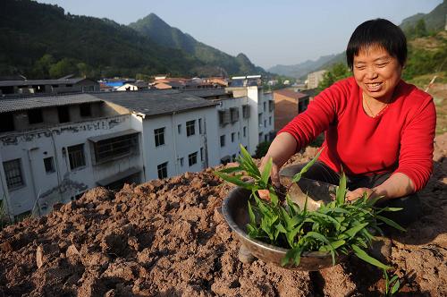 人口多拆迁_中国人口多的图片(3)