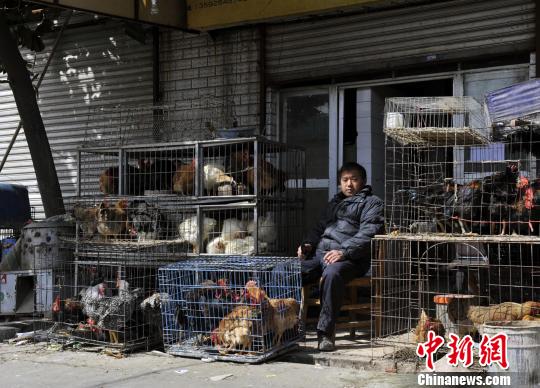 受H7N9禽流感影响，一活鸡宰杀摊位商贩在打瞌睡。陈巍高 摄