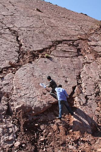 图为考察队员在化石点考察。