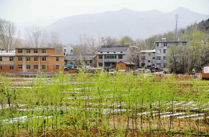 侯马市太秦村人口_侯马市西台神村图(3)