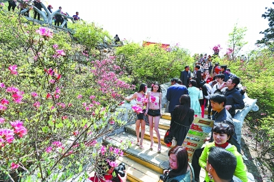 首届武汉赏花节将在云雾山举办(图)