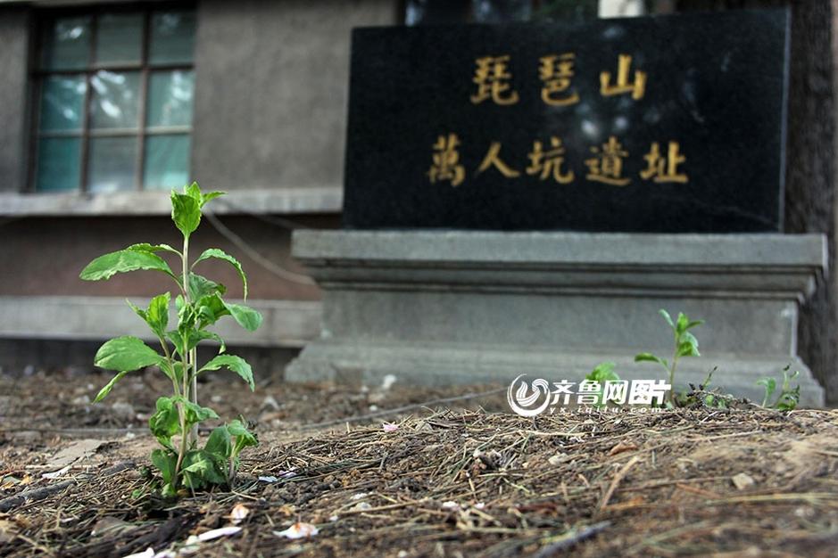 近日,有媒体报道称,位于济南市西郊的琵琶山"万人坑"遗址即将被开发为