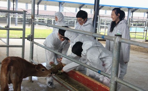 西方教育注重教育实践性 激发学生兴趣