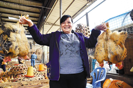 12日上午,广州江村家禽批发市场一档口贱卖活鸡，4元一斤的低价吸引了附近居民前来抢购　　羊城晚报记者 朱文海 摄