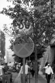 4月14日,长沙小林子冲路,一块路牌被树枝遮挡