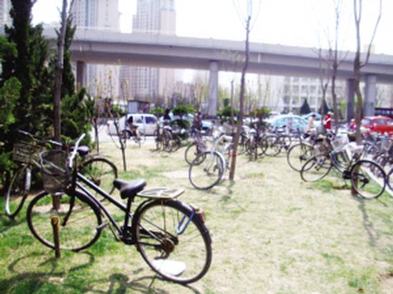 [天津]地铁站外绿地 成了自行车的停车场
